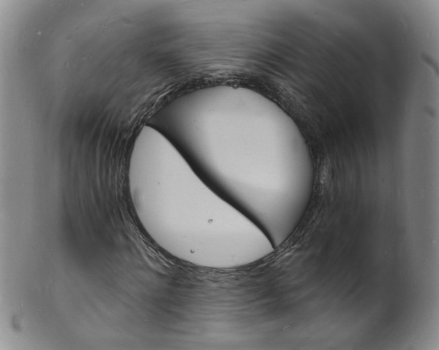 X0000101670868200807101047