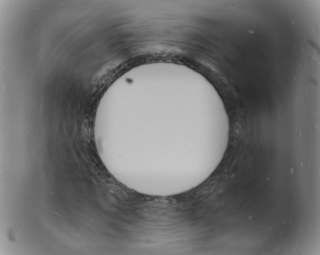 X0000101670869200807101047