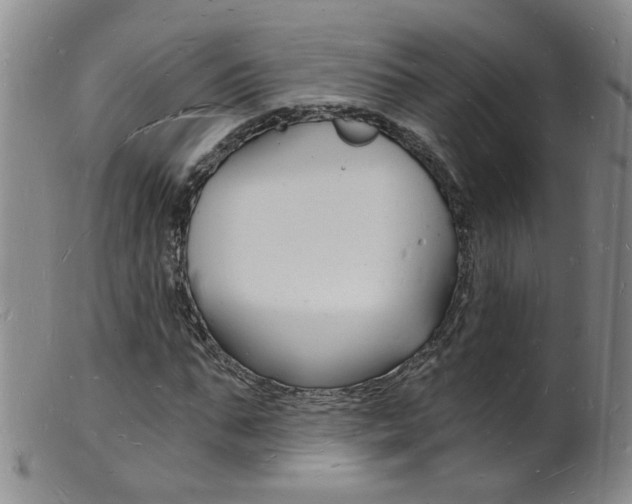 X0000101670871200807101047