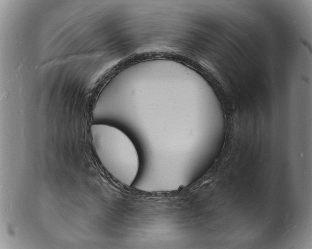 X0000101670872200807101047