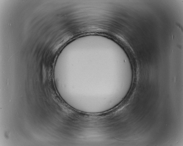 X0000101670873200807101047