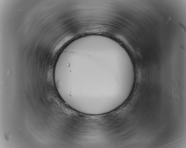 X0000101670874200807101047
