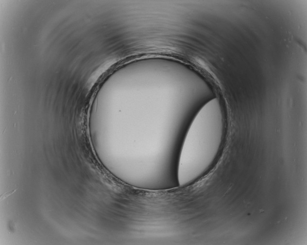 X0000101670875200807101047