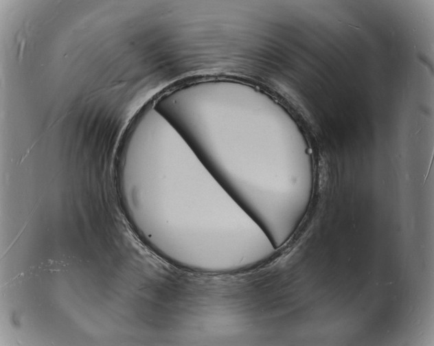 X0000101670876200807101047