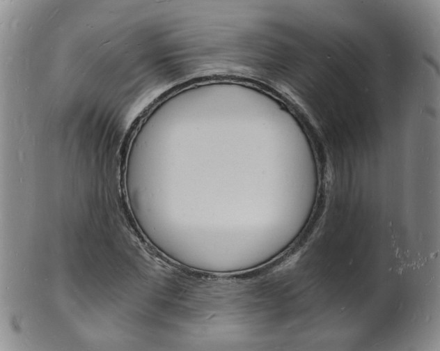 X0000101670877200807101047