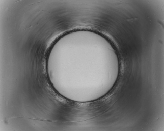 X0000101670878200807101047