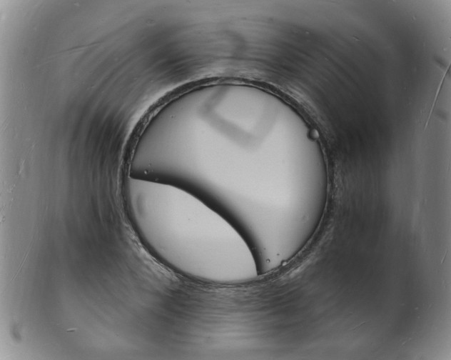 X0000101670880200807101047
