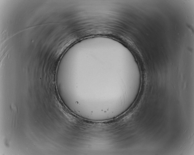 X0000101670881200807101047