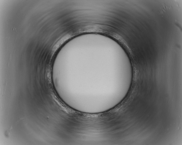 X0000101670882200807101047