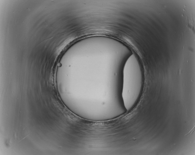 X0000101670883200807101047