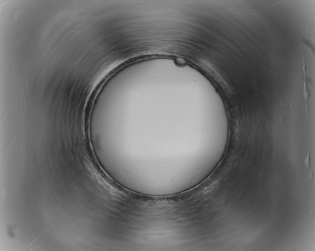 X0000101670884200807101047