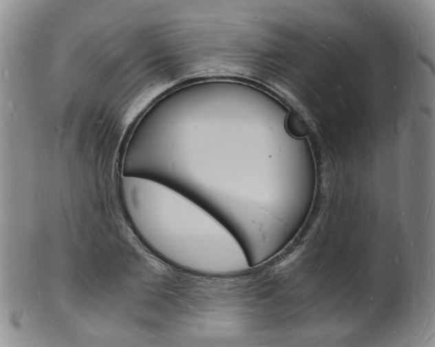 X0000101670885200807101047