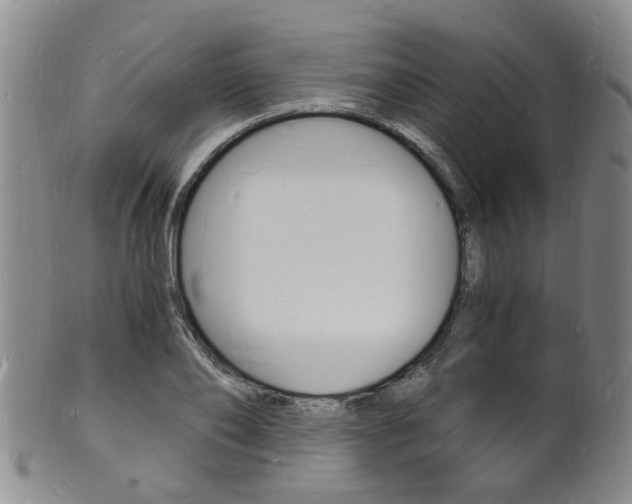 X0000101670886200807101047