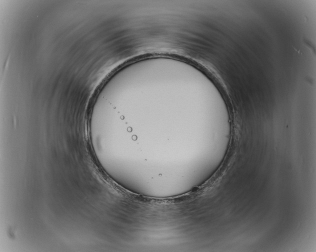 X0000101670887200807101047