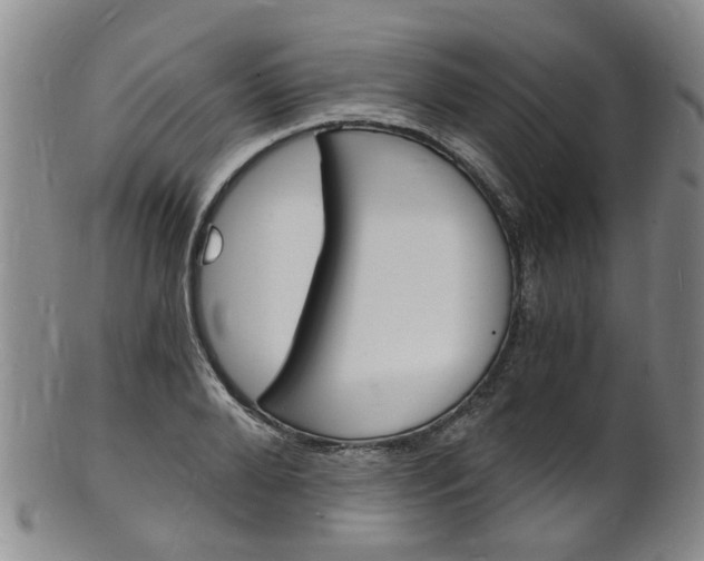 X0000101670888200807101047