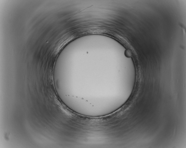 X0000101670889200807101047