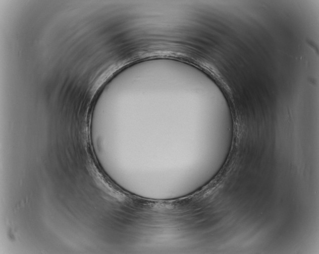 X0000101670890200807101047