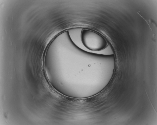 X0000101670891200807101047