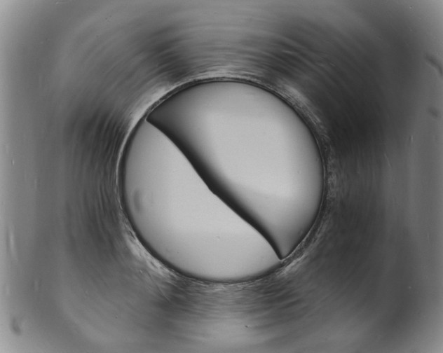 X0000101670892200807101047
