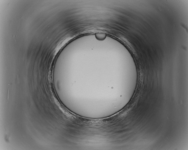 X0000101670893200807101046