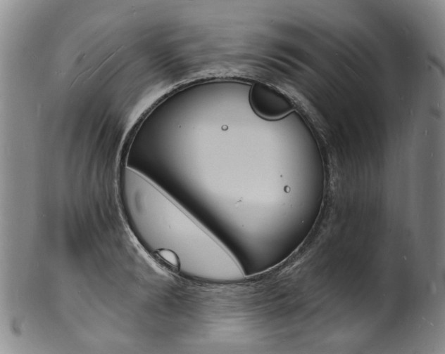 X0000101670894200807101046
