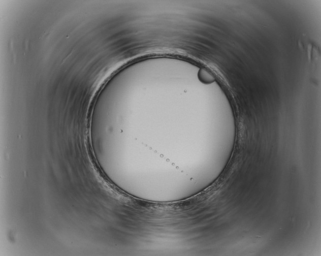 X0000101670895200807101046
