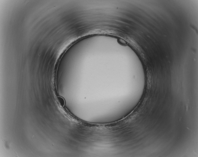 X0000101670896200807101046