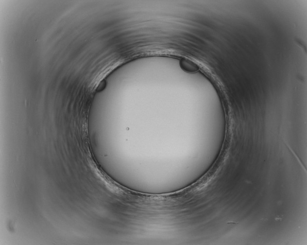 X0000101670897200807101046