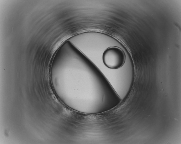 X0000101670898200807101046