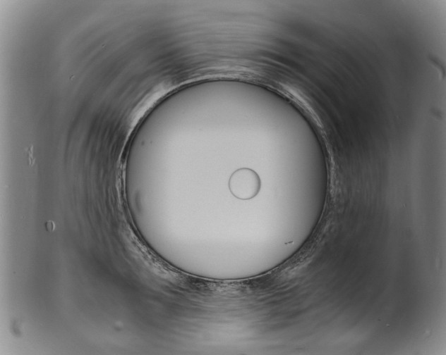 X0000101670899200807101046