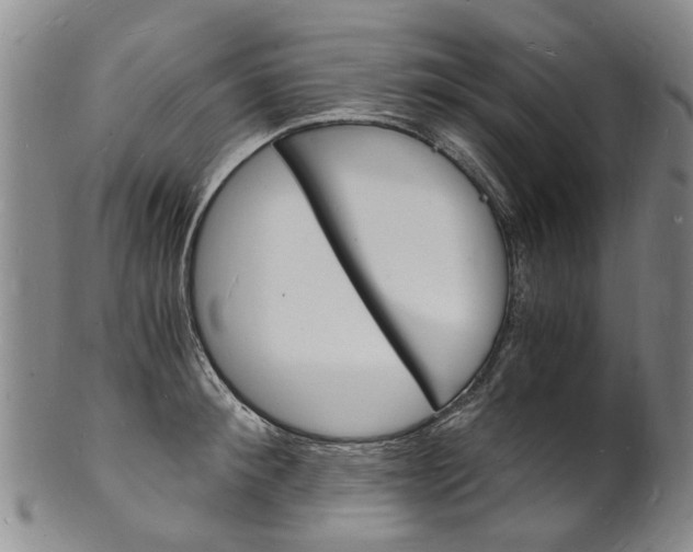 X0000101670900200807101046