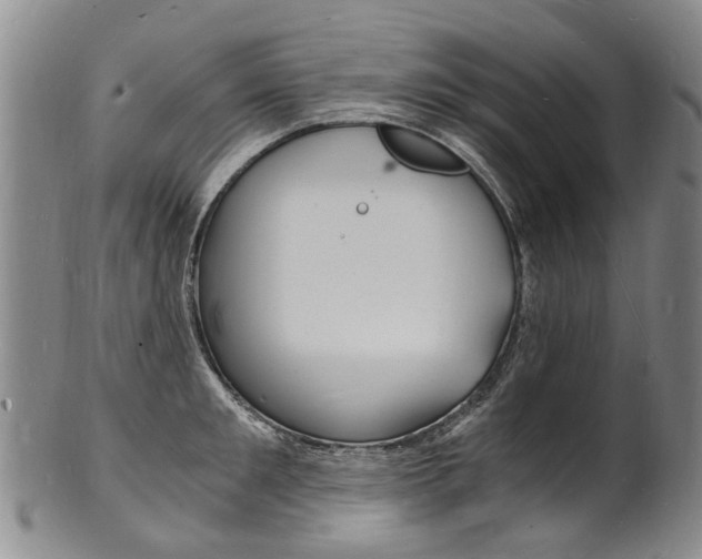 X0000101670901200807101046