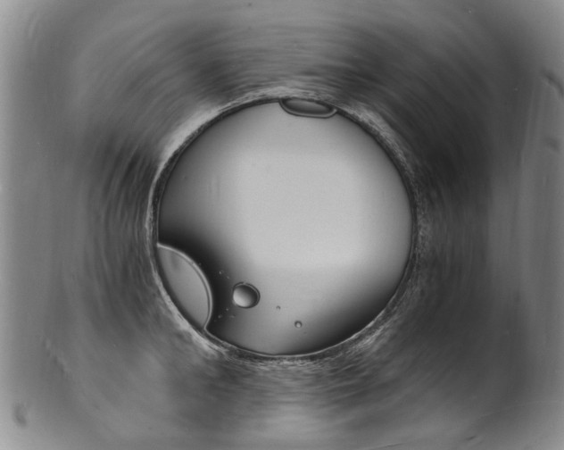 X0000101670902200807101046