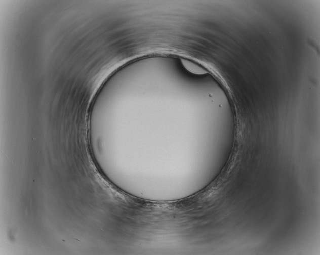 X0000101670903200807101046