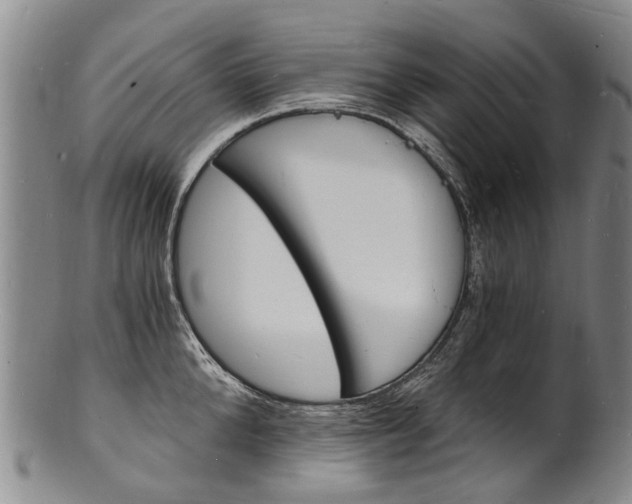 X0000101670904200807101046