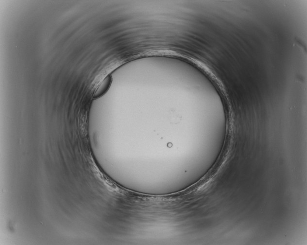 X0000101670905200807101046