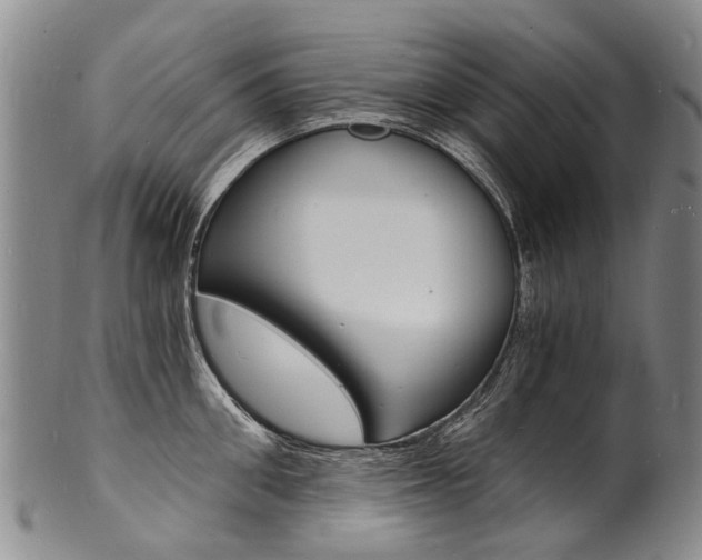 X0000101670906200807101046
