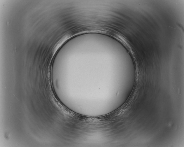 X0000101670907200807101046