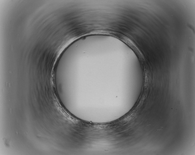 X0000101670908200807101046