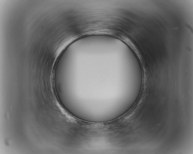 X0000101670909200807101046
