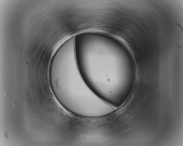 X0000101670910200807101046