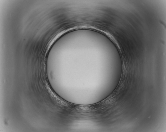 X0000101670911200807101046