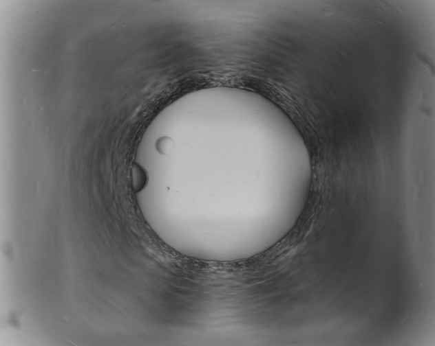 X0000101670913200807101046