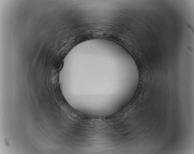 X0000101670914200807101046
