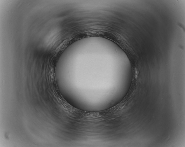 X0000101670915200807101046