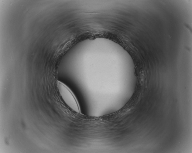 X0000101670916200807101046