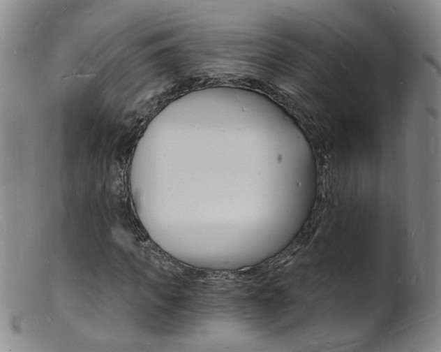 X0000101670917200807101046