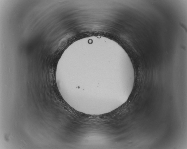 X0000101670918200807101046