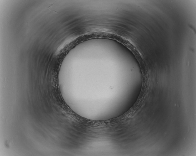 X0000101670919200807101046