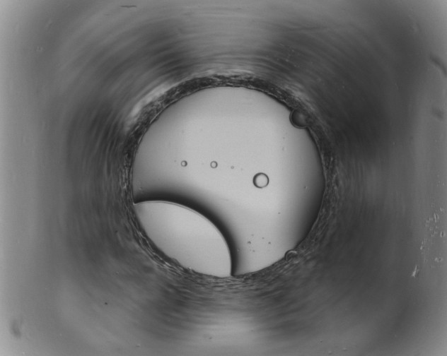 X0000101670920200807101046